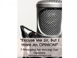 Excuse Me Sir, But I Have An Opinion: 7 Principles for Voicing Our Opinion